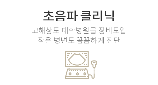 초음파 클리닉