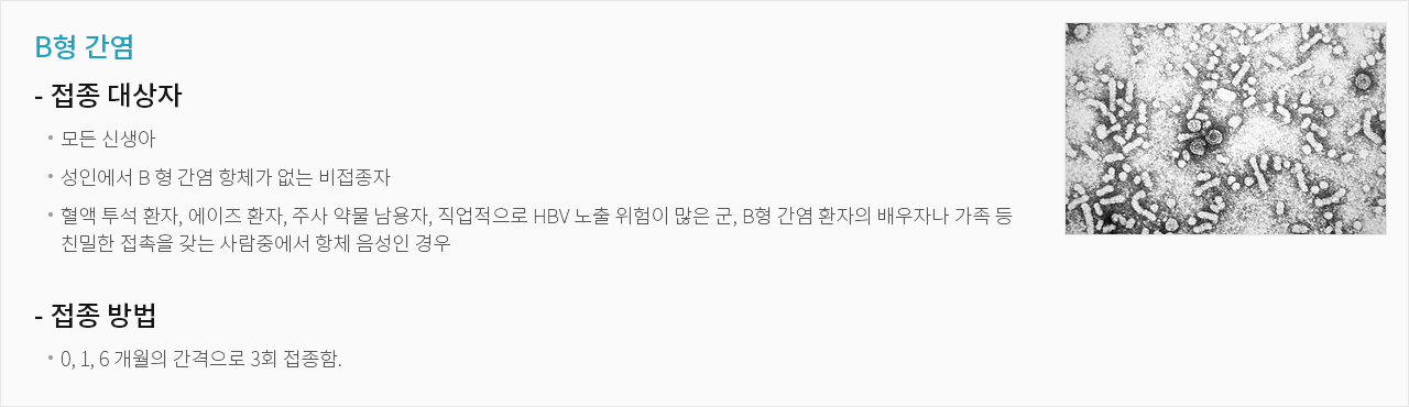 B형 간염